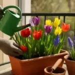 Bulbi primaverili in balcone: il metodo per averli sempre in salute e ricchi di colori vivaci